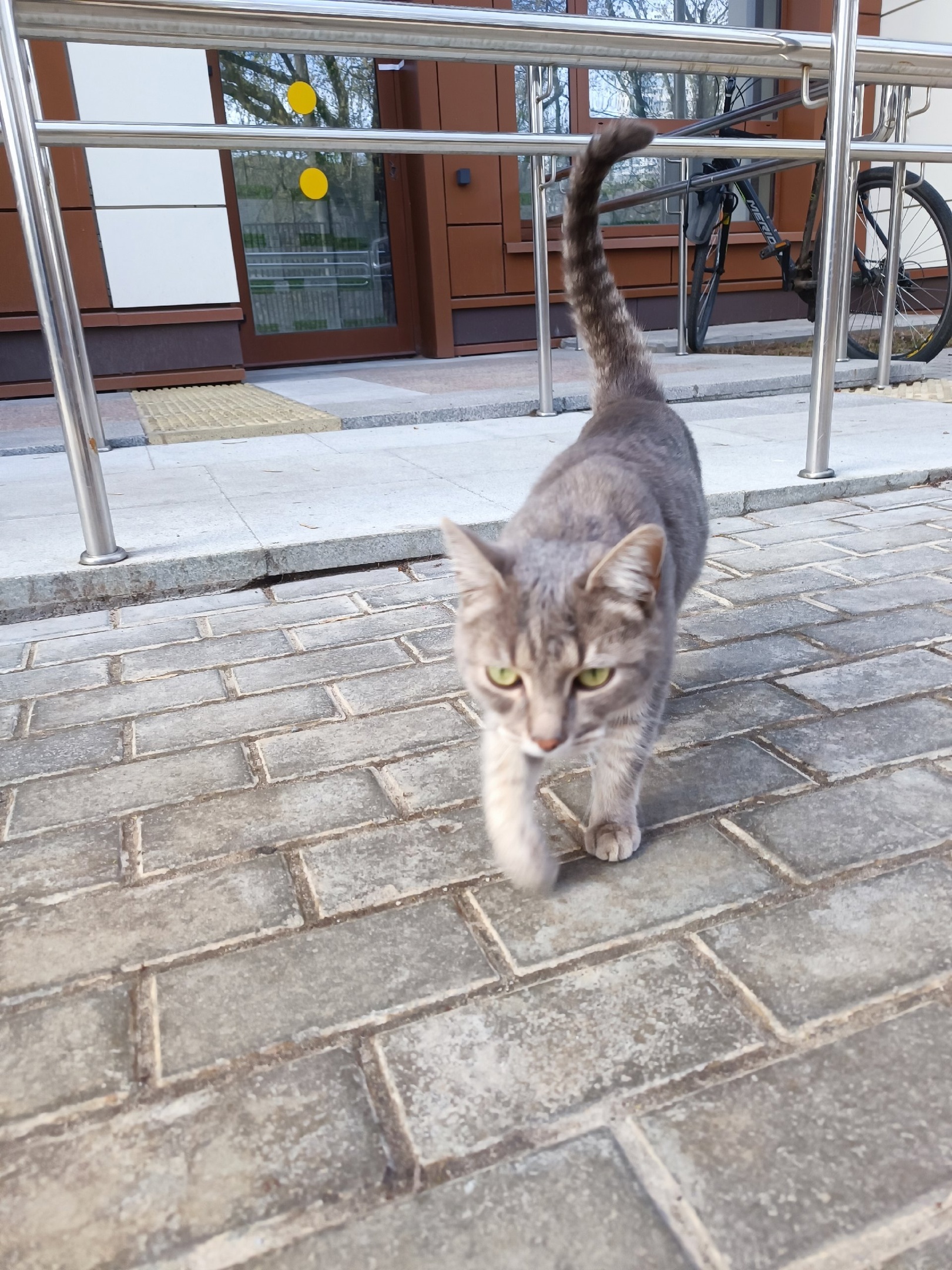 Касьян Суверенитет Паштетович - MyPrepod