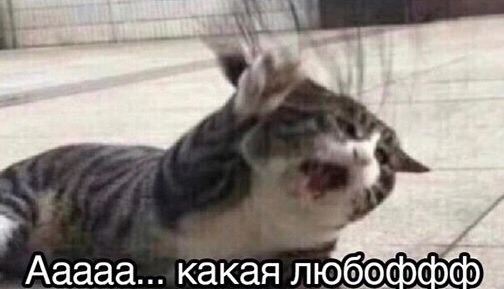 Штепа Сергей Евгеньевич