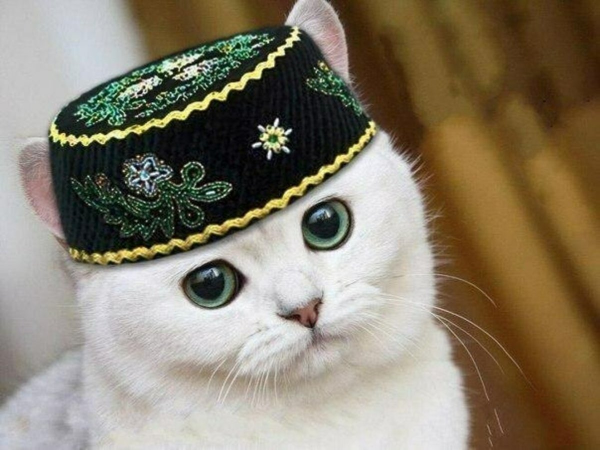 Богдман Никита Динарович
