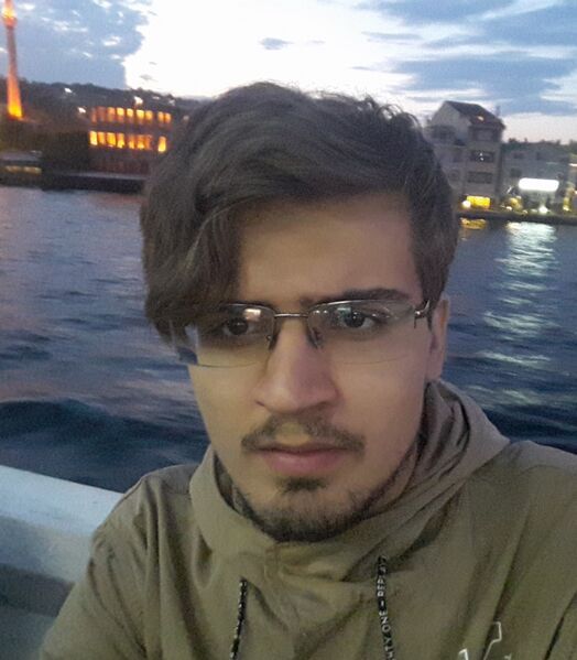 Садеков Дамир Ильдарович