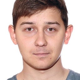 Сметанин Виталий Викторович