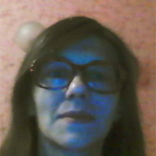 Мешкова Елена Михайловна