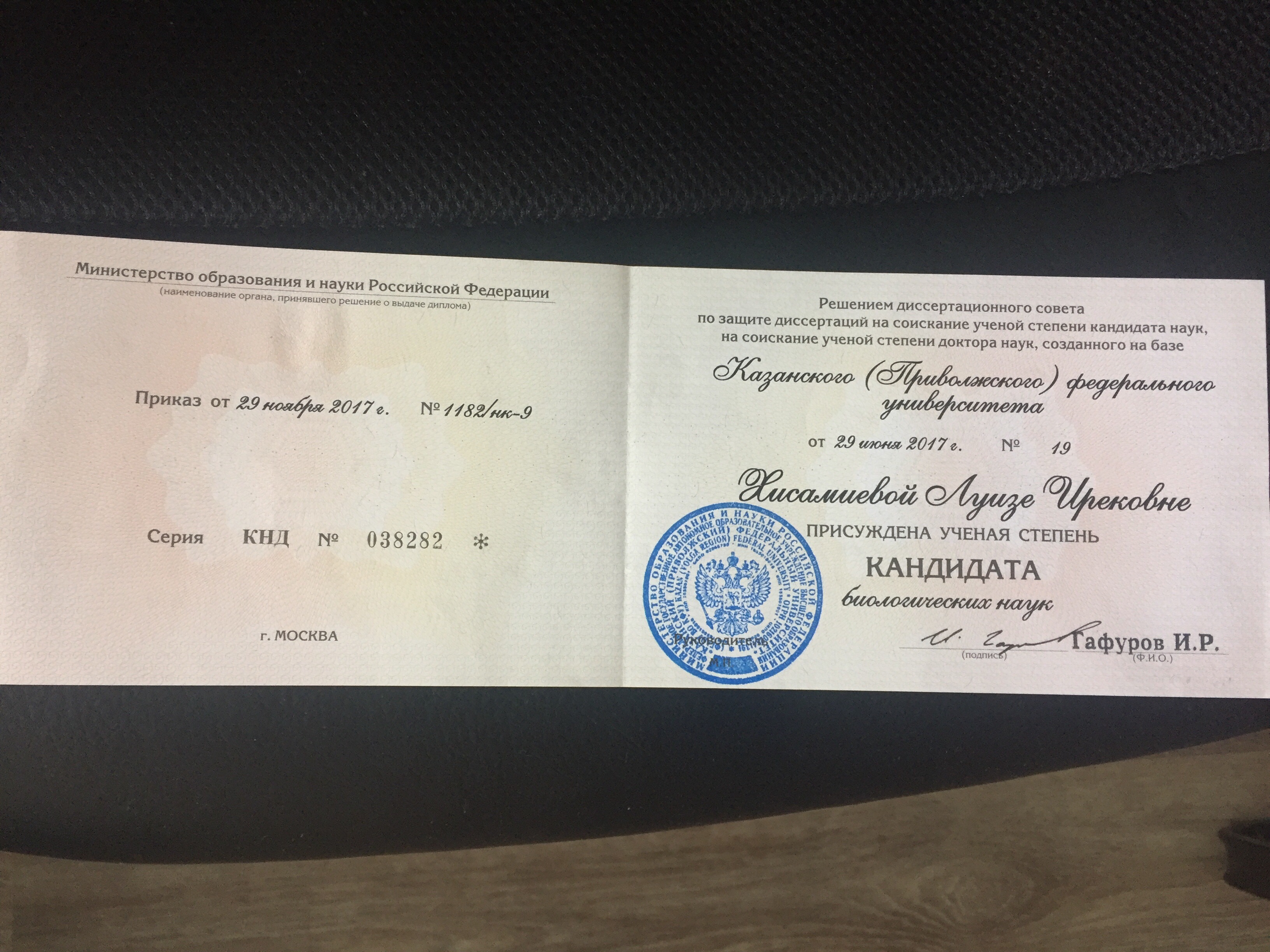 Хисамиева Луиза Ирековна